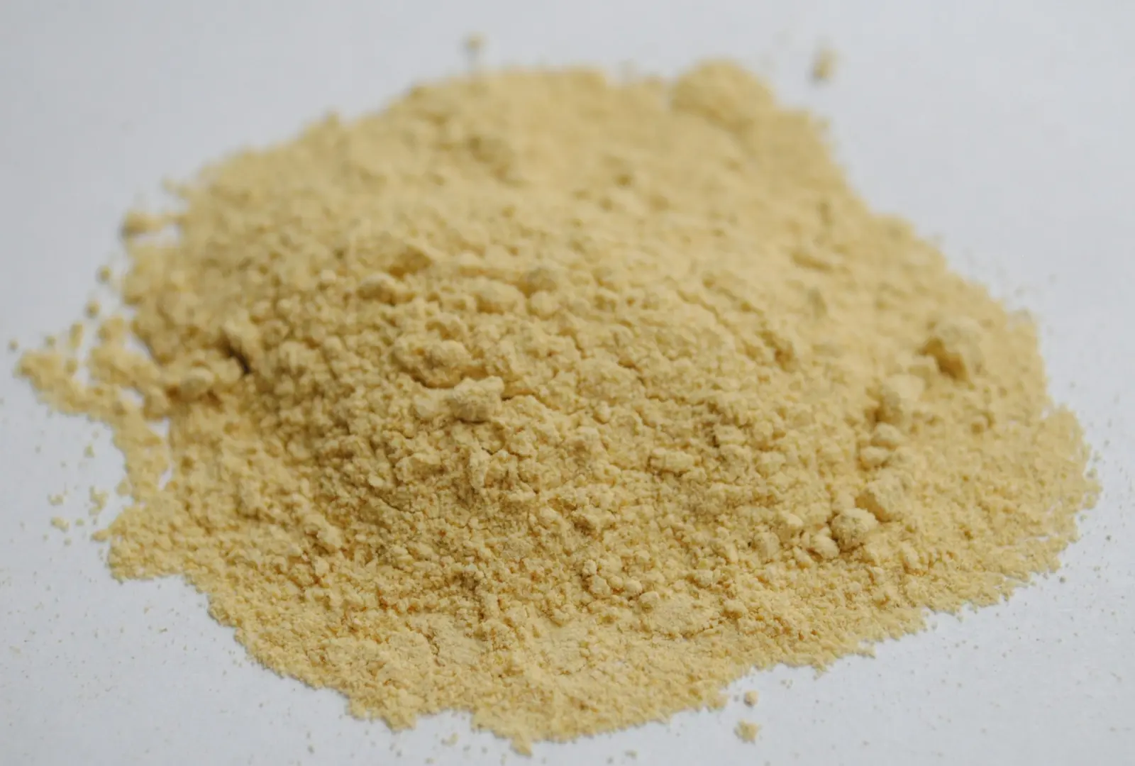 A heap of fine pale onion powder