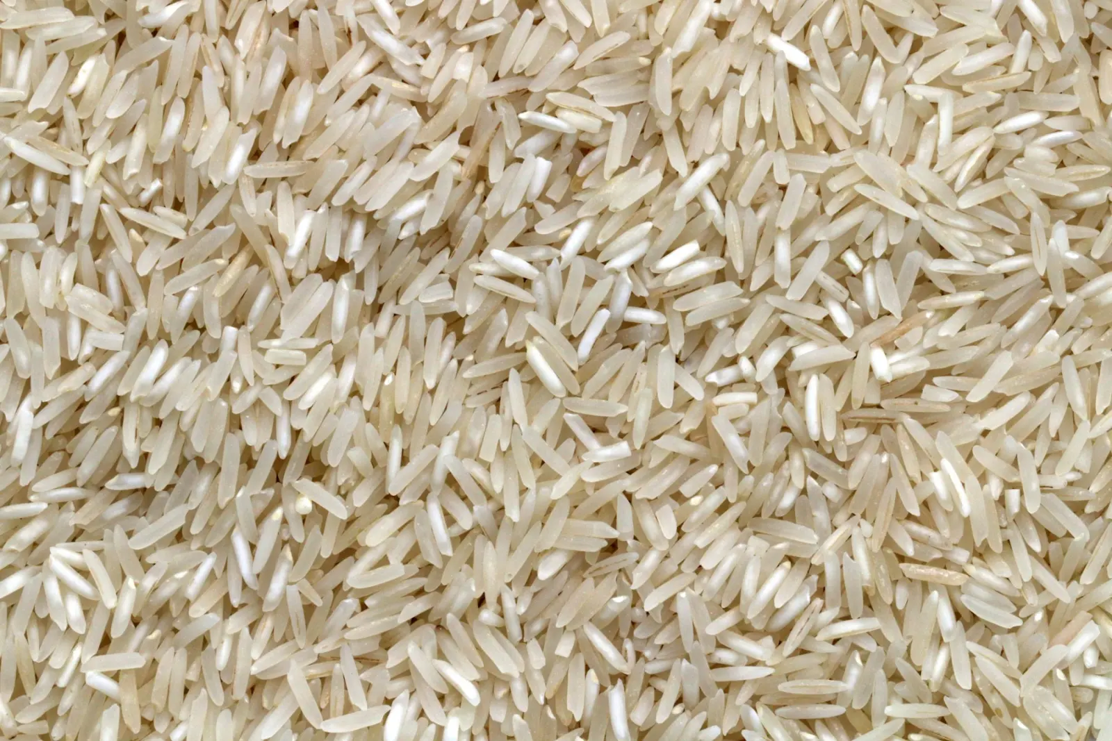 Close-up of long-grain basmati rice